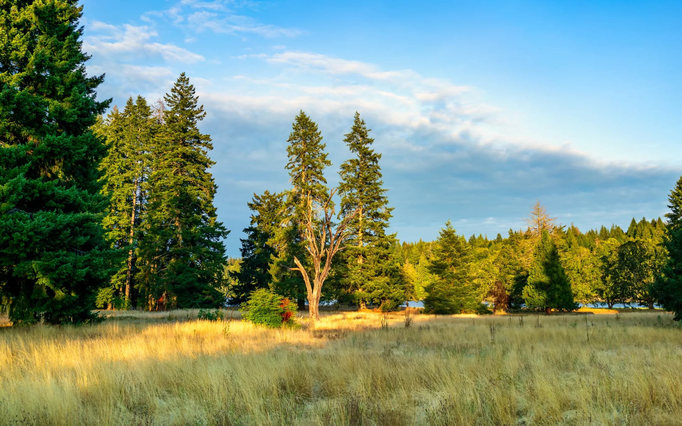 shelton-wa.jpg [training import]